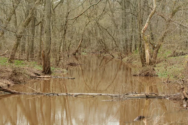 Río Muddy — Foto de Stock