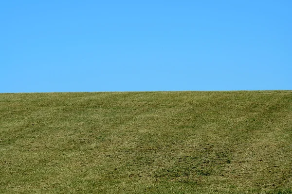 Pole, zelené a modré nebe — Stock fotografie