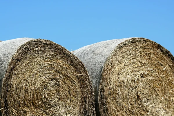 Hay rolls — Stock Photo, Image