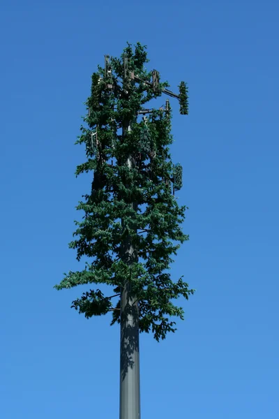 Pine tree cell tower — Stock Photo, Image