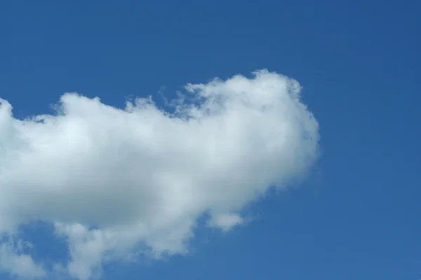 Bianco sfondo nuvola — Foto Stock