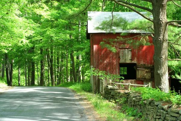 Red barn in the woods — Stock Photo, Image