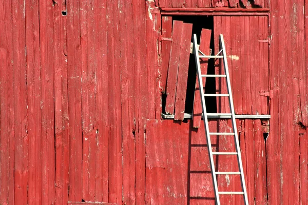 Лестница на красном амбаре — стоковое фото