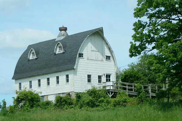 Eski beyaz barn — Stok fotoğraf