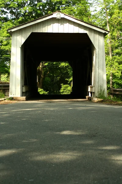 Green Sergeant Covered Bridge — Stock Photo, Image