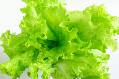 Lettuce leaves clipart