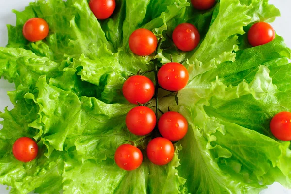 Tomates cherry y lechuga — Foto de Stock