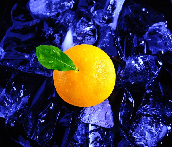 오렌지와 얼음 — 스톡 사진
