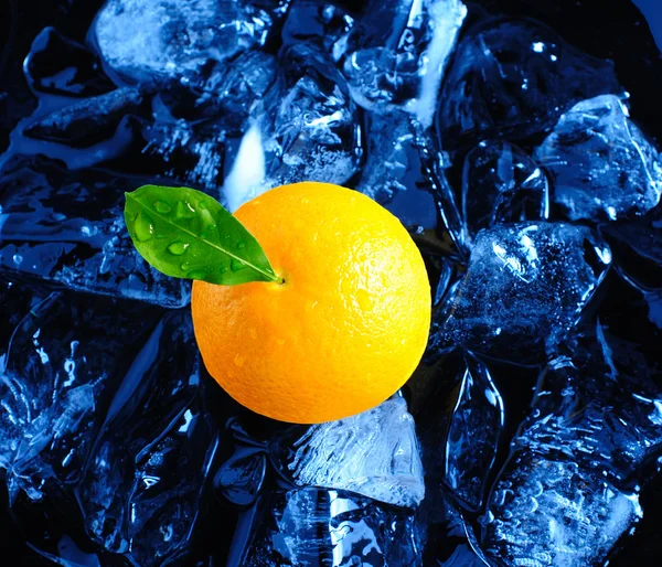 Pomarańczowy i lód — Zdjęcie stockowe