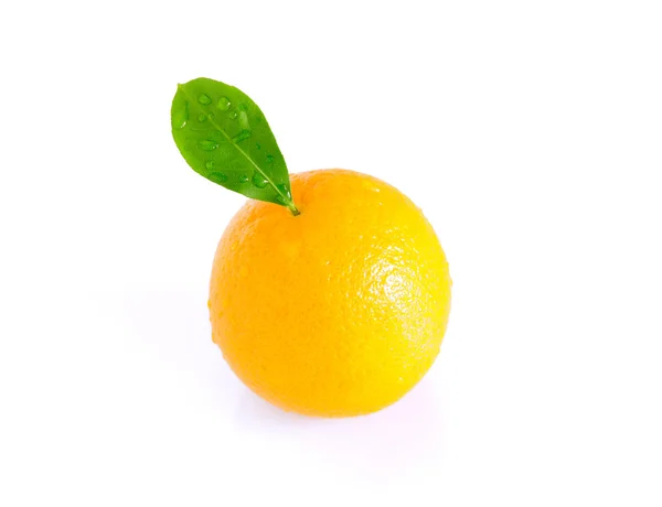 Oranžová s listem — Stock fotografie
