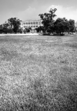 Cityscape Park