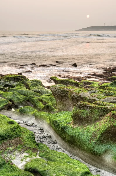 녹색 해안 — 스톡 사진