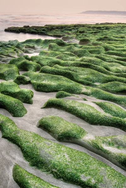 Зелений берег — стокове фото