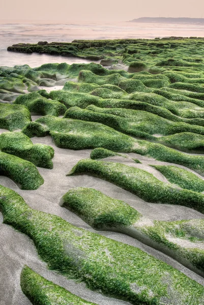 Grüne Küste — Stockfoto