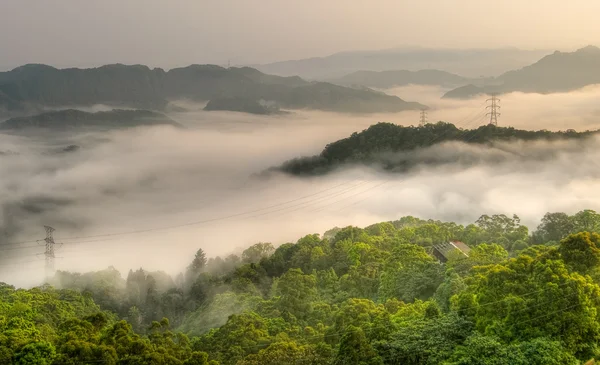 Landskap i dimma — Stockfoto
