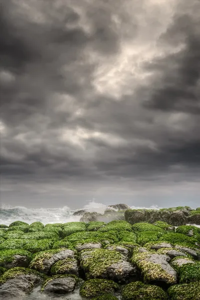 Green coastline — Stock Photo, Image
