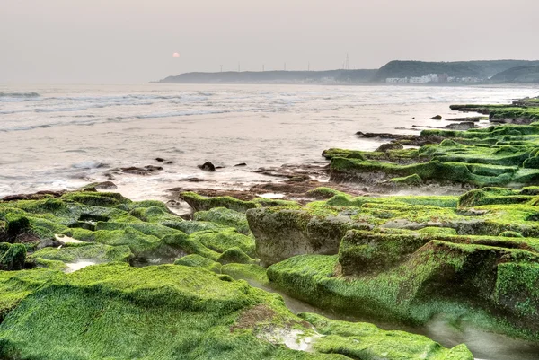 Green coastline — Stock Photo, Image