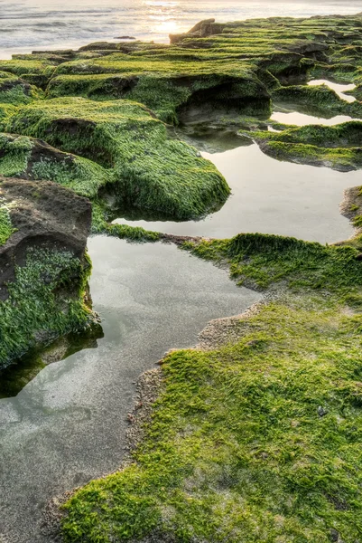 Gröna äkthetsbevis vatten — Stockfoto