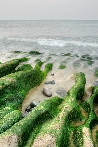 Krajina zelené pobřeží — Stock fotografie