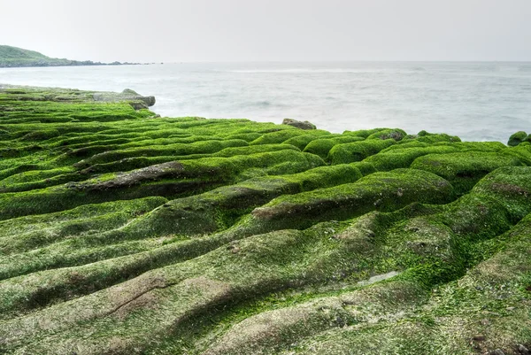 Bela costa verde — Fotografia de Stock