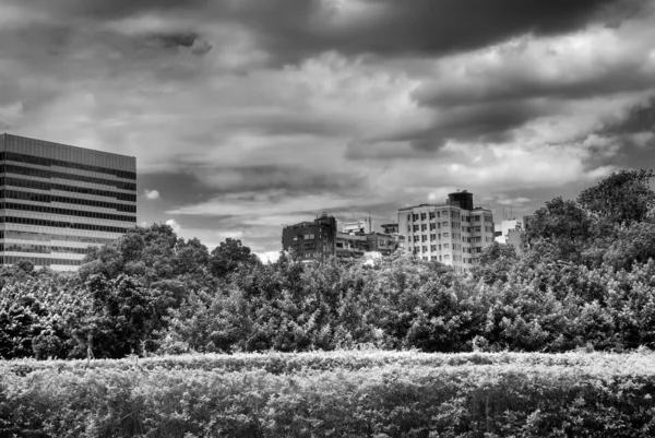 Scene della città moderna con alberi e nuvole — Foto Stock