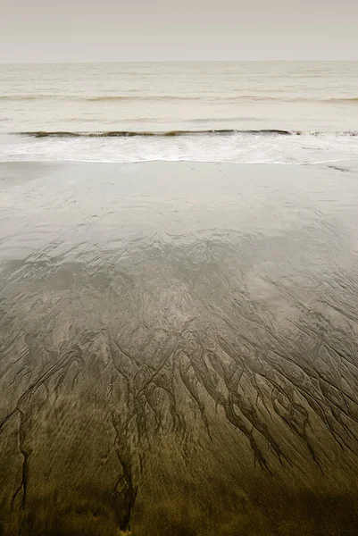 노란 해변의 풍경 — 스톡 사진