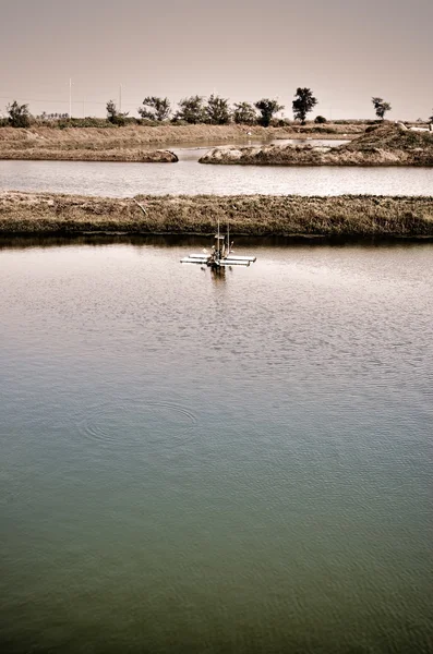 Пейзаж рыбной фермы с водяным колесом — стоковое фото