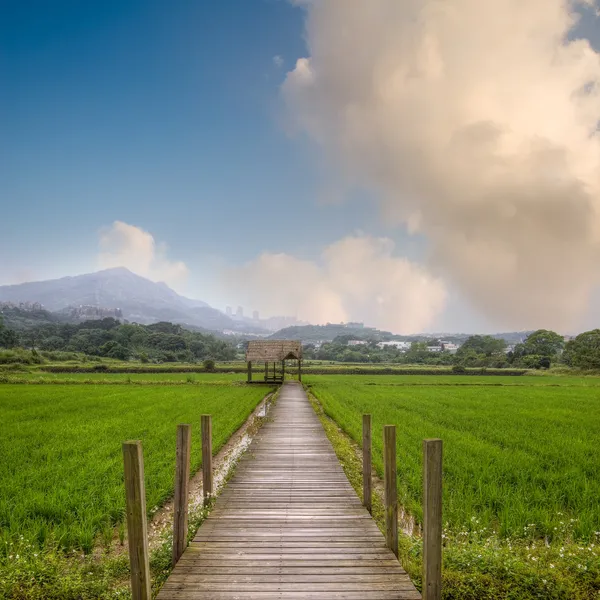 Attractive rural scenery — Stock Photo, Image