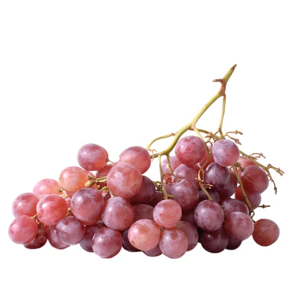 stock image Isolated fruit of grape