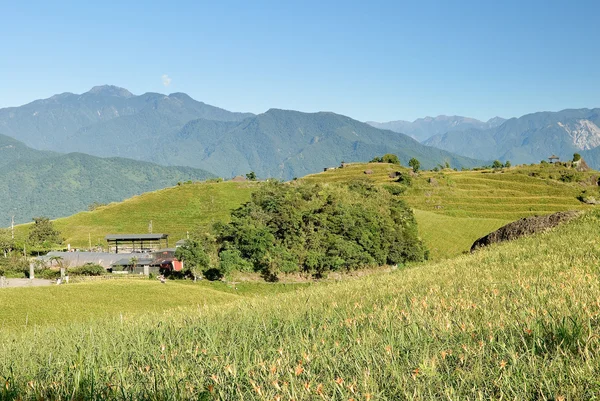 Bauernhof mit Berg — Stockfoto
