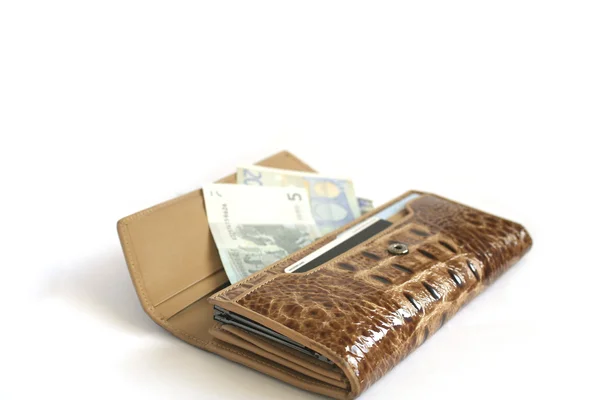 Hnědé croco kožené peněženky s euro — Stock fotografie