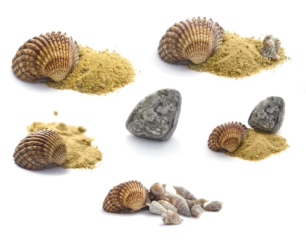 Raccolta di conchiglie, pietre e sabbia isolate su bianco — Foto Stock