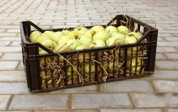 Appels in een plastic doos — Stockfoto