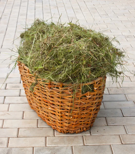 Basket with hay — Stock Photo, Image