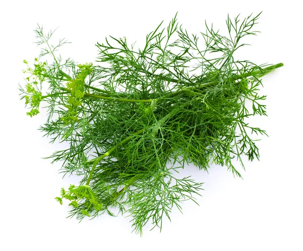 Dill on a white background — Stock Photo, Image