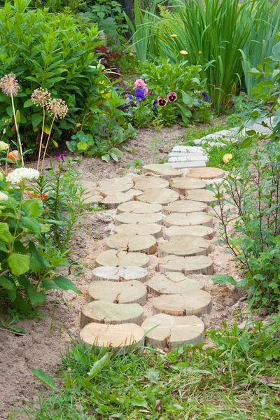 Path in a garden — Stock Photo, Image