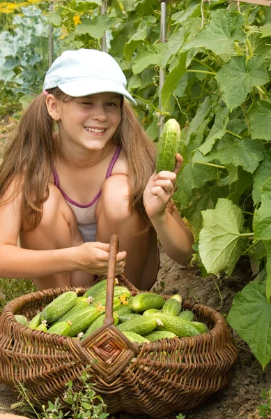 Little girl and cucumbers — Stock Photo, Image