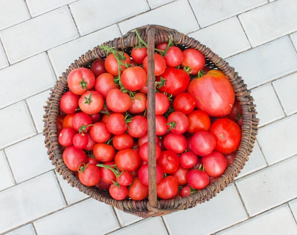 Корзина с помидорами — стоковое фото