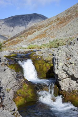 Stream with a waterfall clipart