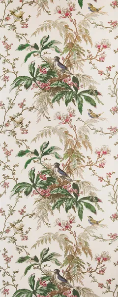 Ptak tapety — Zdjęcie stockowe