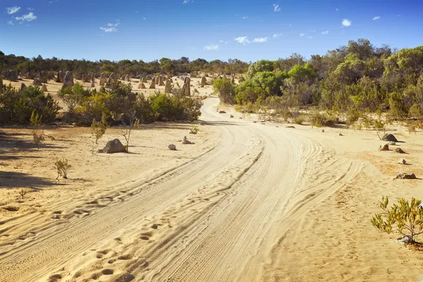 stock image Desert road