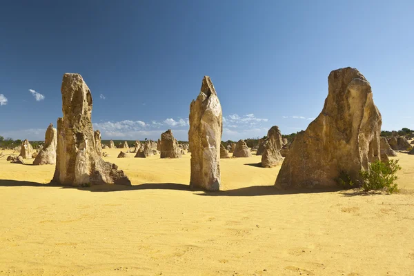 Stock image Pinnacles