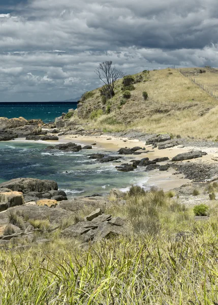 Australien kusten — Stockfoto