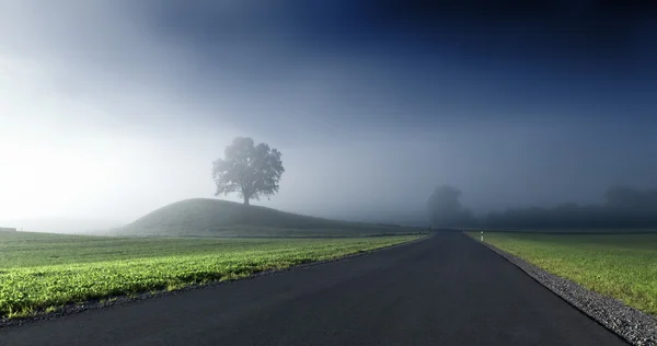 Nebel — Zdjęcie stockowe