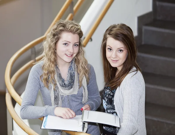 Two girls studying — Stock Photo, Image