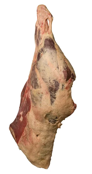 Meat — Stock Photo, Image