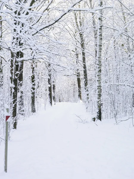 Větrno cesta v zimě — Stock fotografie
