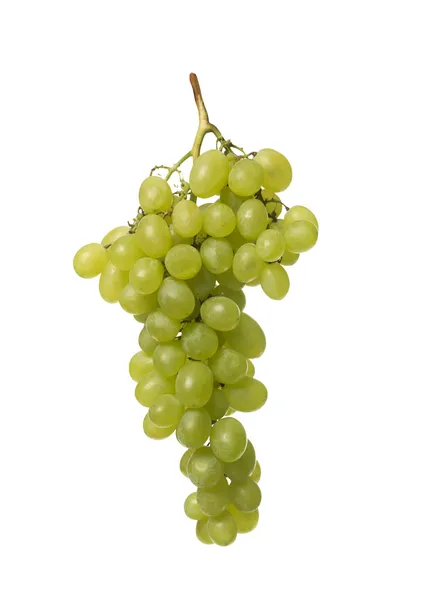 Stock image Grape