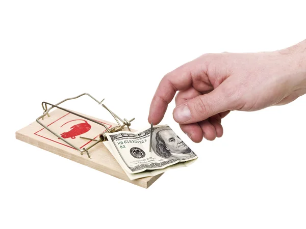 Mousetrap com dólares — Fotografia de Stock