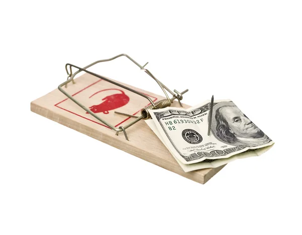 Mousetrap med dollar — Stockfoto